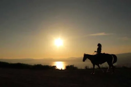 Horse Riding in Agadir Tamraght