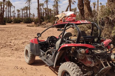 Buggy Ride in Marrakech Palm Grove (PGO 500cc)