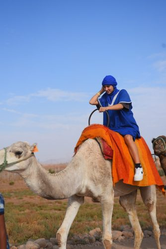 Quad + Camel in Marrakech Palm Grove
