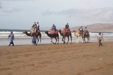 Camel Ride in Agadir Taghazout